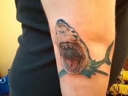 Blue shark