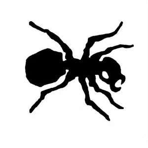 Black ant