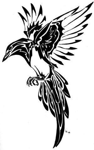 Bird present big wings