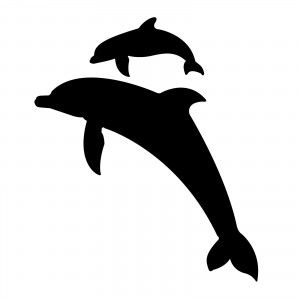 Two black dolphins