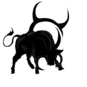 Taurus in attack