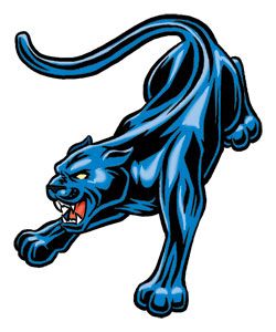 Blue and black panther