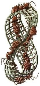 Six ants on metal element