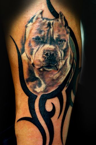 Bulldog and tribal tattoo