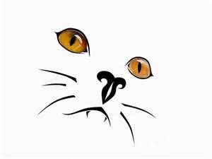 Yellow eyes of cat