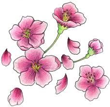 Cherry blossom flowers tattoo