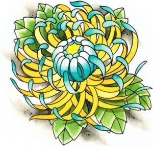 Yellow and blue chrysanthemum