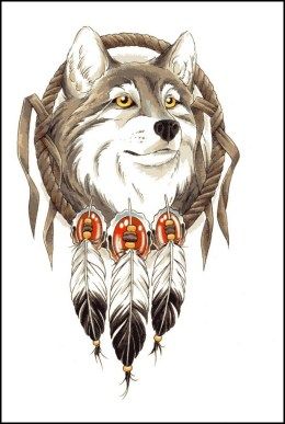 Grey wolf with plume