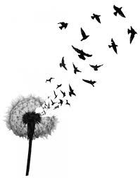 Dandelion with birds