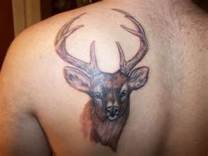 Deer tattoo design