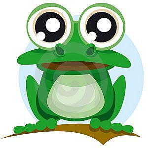 Green frog with big eyes