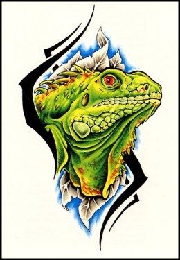Fantastic green lizard