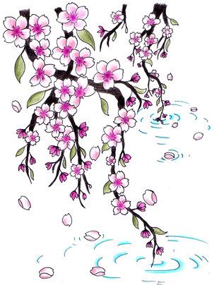 Many pink flowers on stems