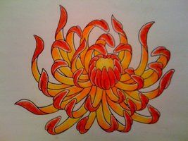 Orange chrysanthemum