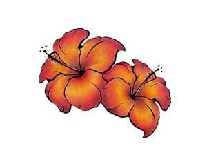 Design with Hibiscus