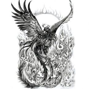 Phoenix on fires