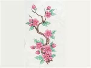 Beautiful stem of cherry blossom