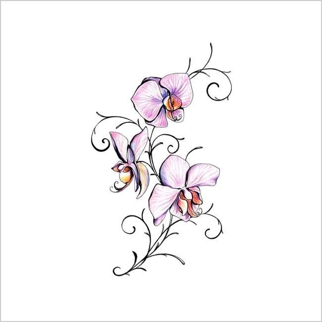 Orchid with black pattern