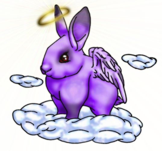 Violet rabbit with wings