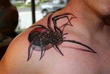 Realistic spider