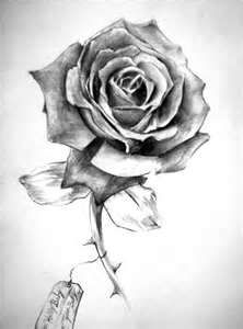 Awesome 3D rose