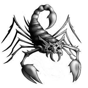 My favourite design with scorpio