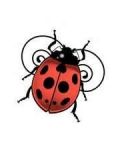 Small design with ladybug