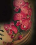 Back tattoo with big orchids