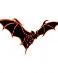 Black and red bat