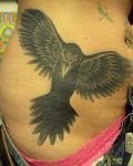Belly tattoo with magpie