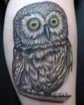 Big owl tattoo
