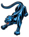 Blue and black panther