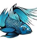 Pretty fish as tattoo design