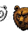 Two heads of bear