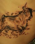 Tattoo with male cow on belly