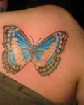 Colourful butterfly on the shoulder