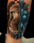 Cat with blue daisy tattoo