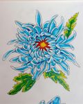 Chrysanthemum