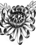 Chrysanthemum with eye