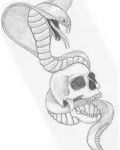 Cobra and skull tattoo design