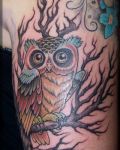 Colourful owl on branch tattoo
