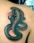 Dark cobra tattoo