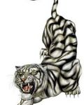 Dark tiger tattoo design