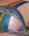 Dolphin and rainbow tattoo