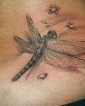 Tattoo with dragonfly and flowers