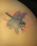 Green dragonfly with wings