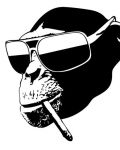 Monkey with glasses and cigarette