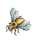 Gold bee tattoo design