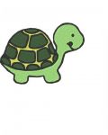 Small turtle