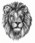 Head of lion